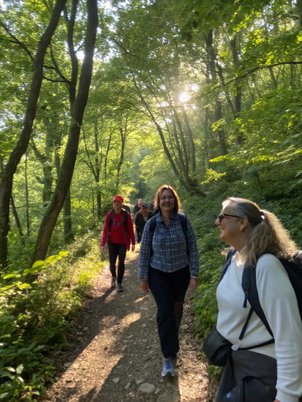 A diverse group of people hiking in a scenic natural setting, representing Les Joyeux's outdoor recreational activities and promoting appreciation for nature.